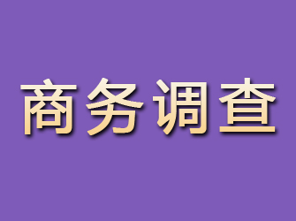 平远商务调查